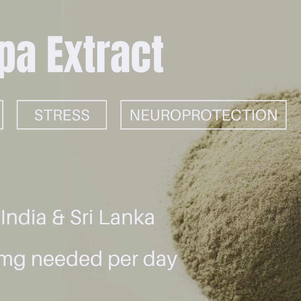 Bacopa Extract