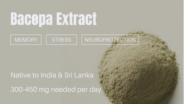 Bacopa Extract