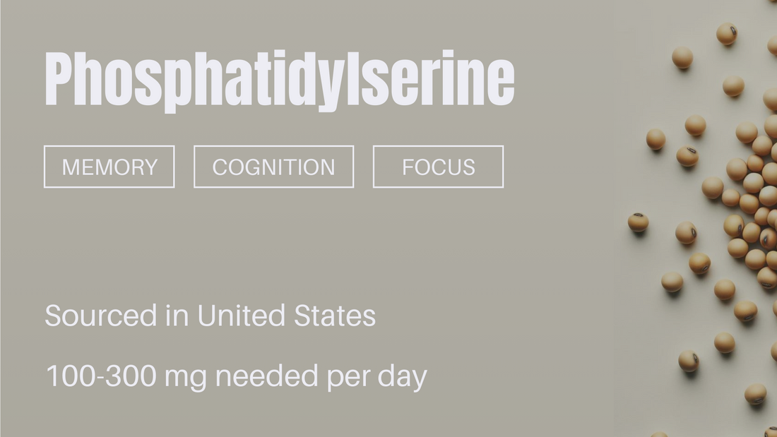 Phosphatidylserine: Nature's Brain Booster